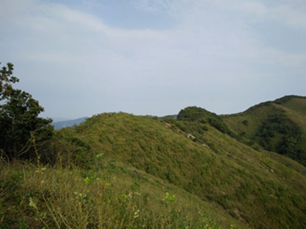 蛇身台山峦