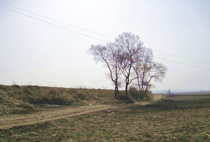 001qpmvSzy6Ro5b6Jqp79&690.jpg