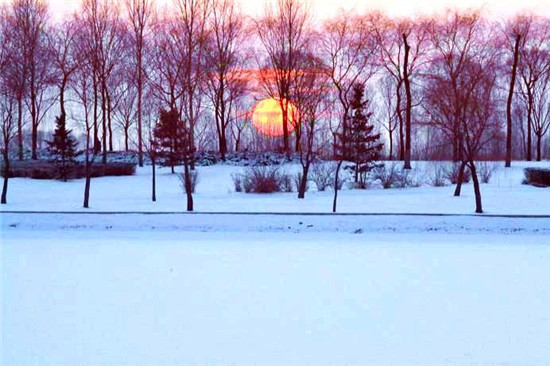 2015116102454.jpg
