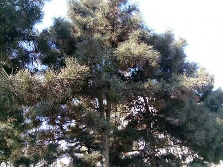 QQ图片20161226154801.jpg