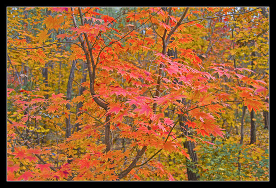 2013103010152.jpg