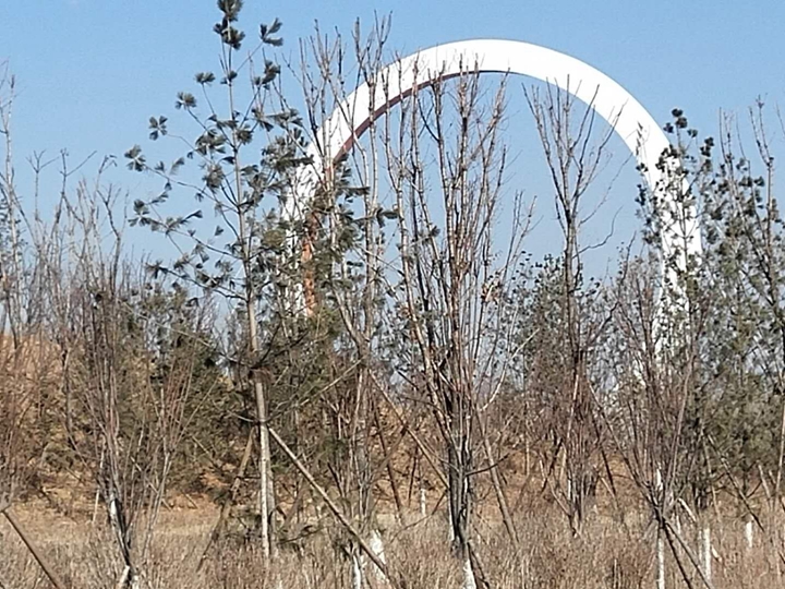 微信图片_20180219174613.jpg