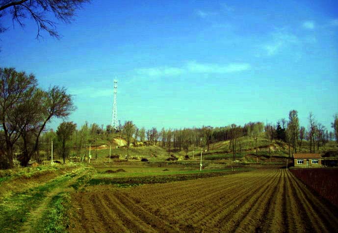 001qpmvSzy6Ro58XKmyb6&690.jpg