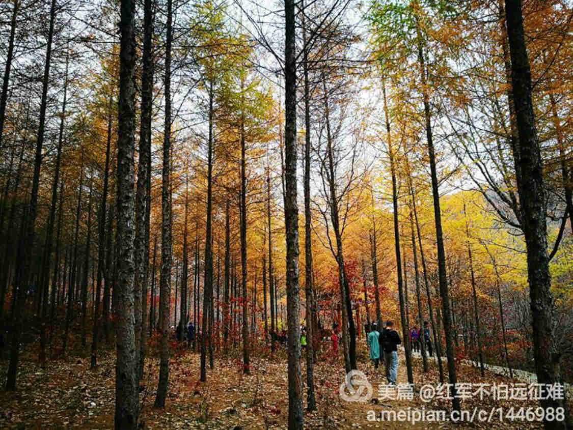 QQ图片20161027213936.jpg