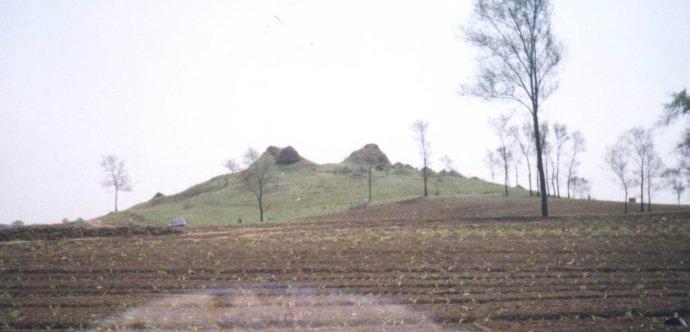 001qpmvSzy6SrIDWEaQ20&690.jpg