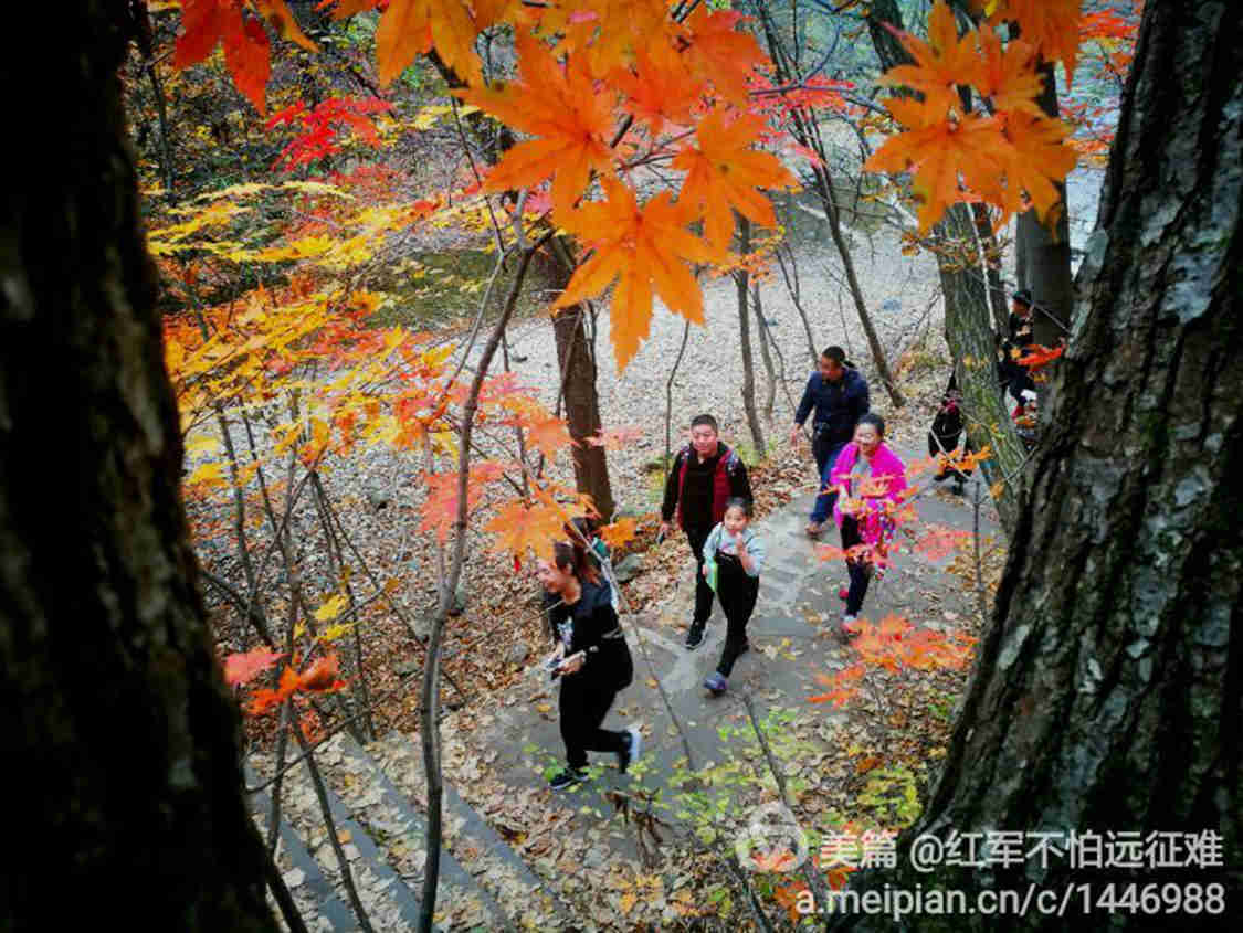 QQ图片20161027213957.jpg