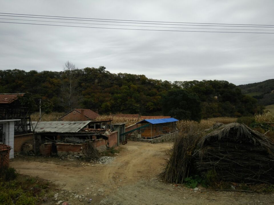 龙头山.jpg