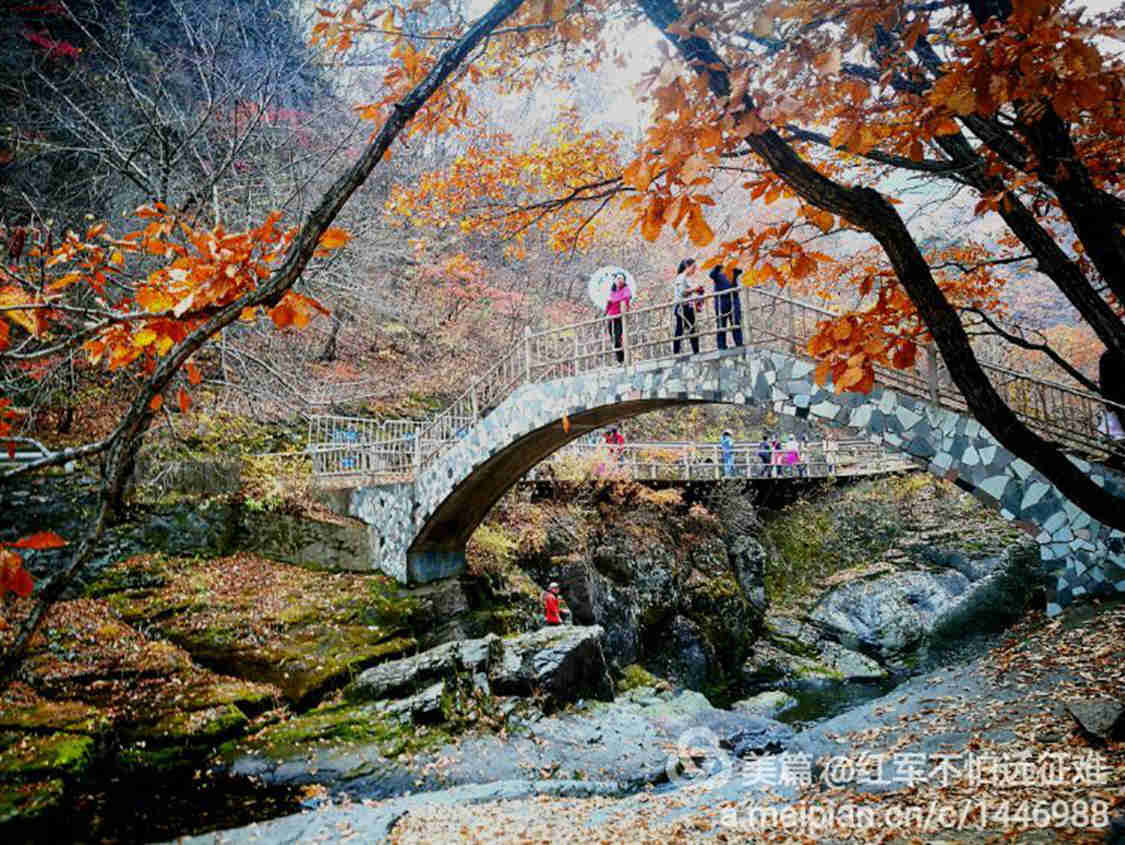QQ图片20161027213948.jpg