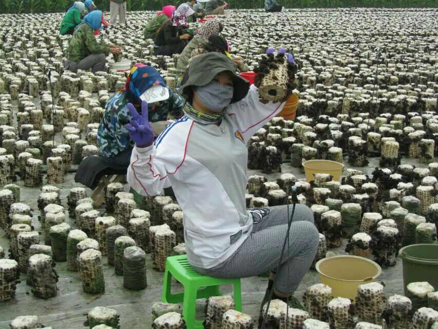 QQ图片20161011154354.jpg