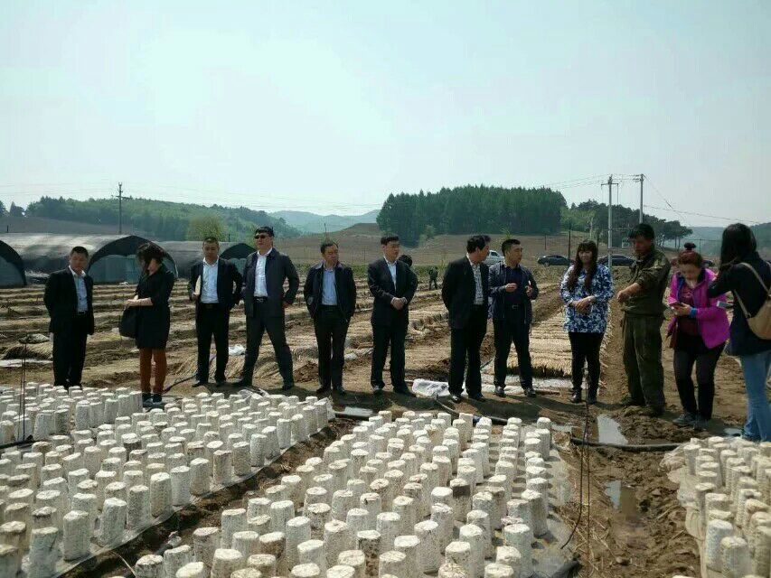 QQ图片20161011154322.jpg