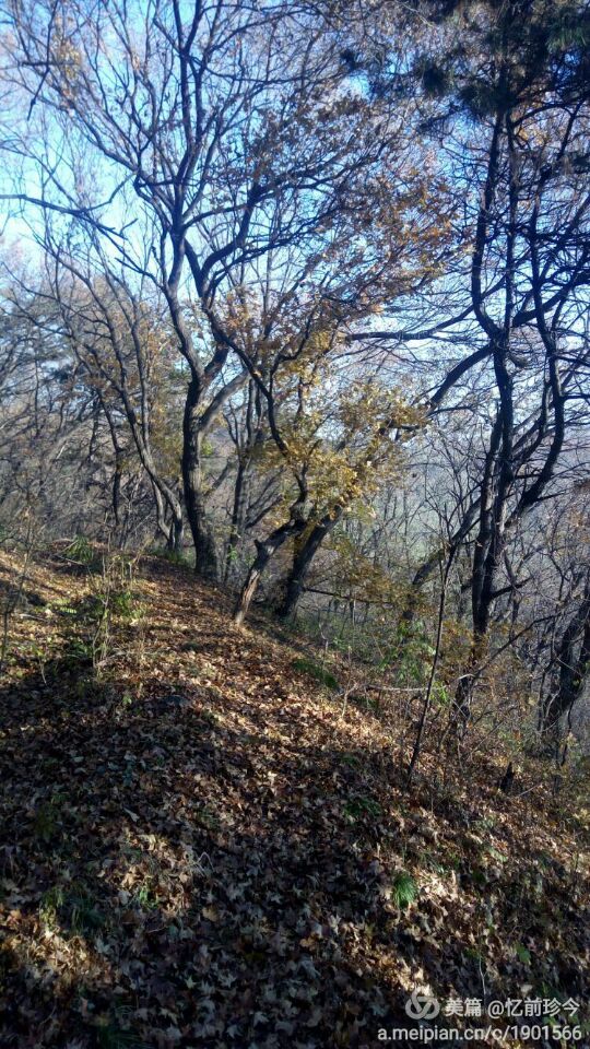 QQ图片20161102090102.jpg