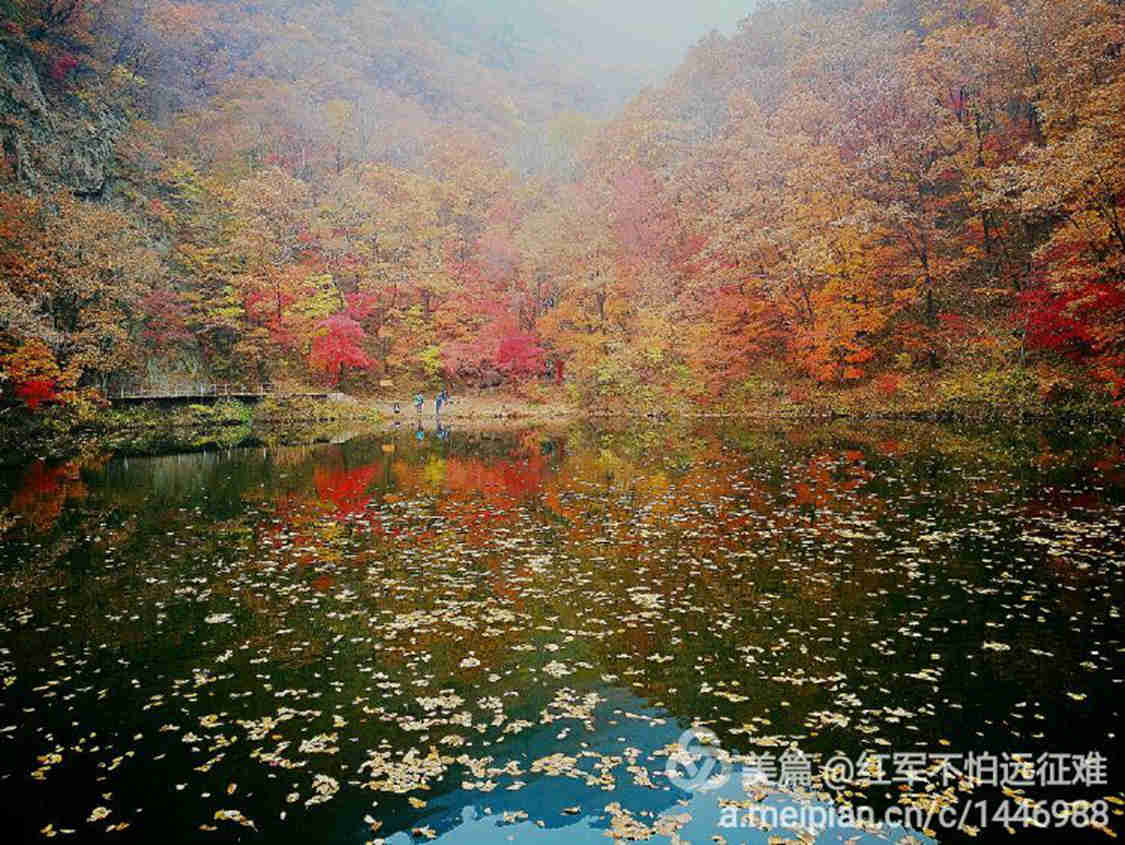 QQ图片20161027213915.jpg