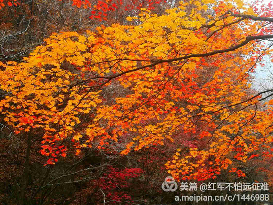 QQ图片20161027213922.jpg