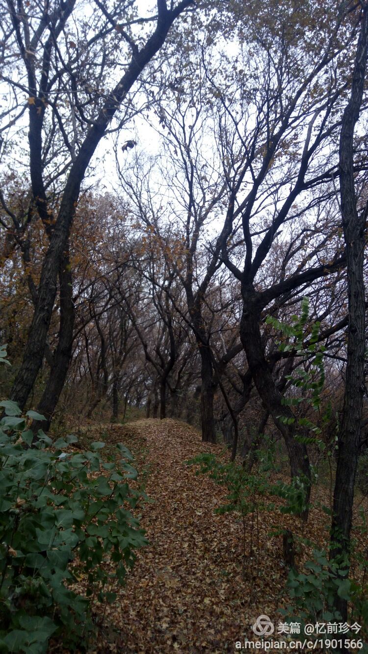 QQ图片20161102090130.jpg